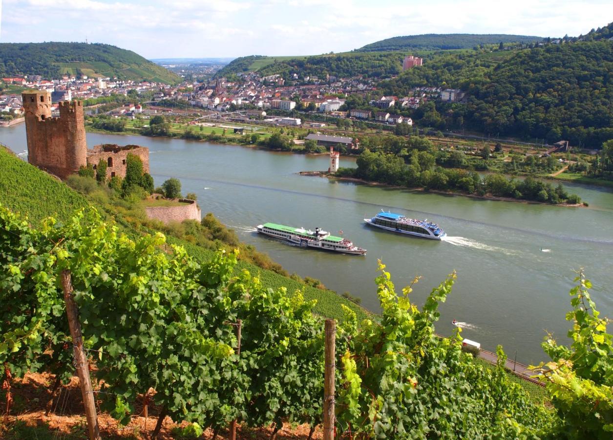 Weinhotel Des Riesling Zum Gruenen Kranz Rüdesheim am Rhein Esterno foto