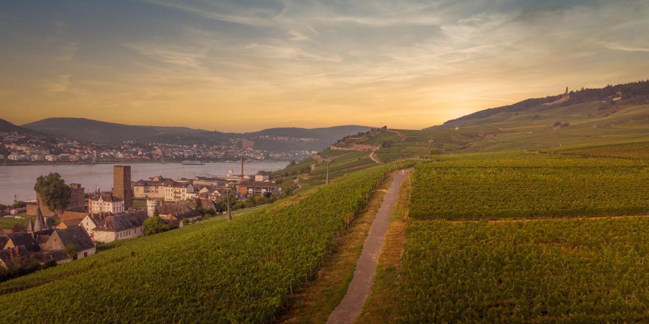 Weinhotel Des Riesling Zum Gruenen Kranz Rüdesheim am Rhein Esterno foto