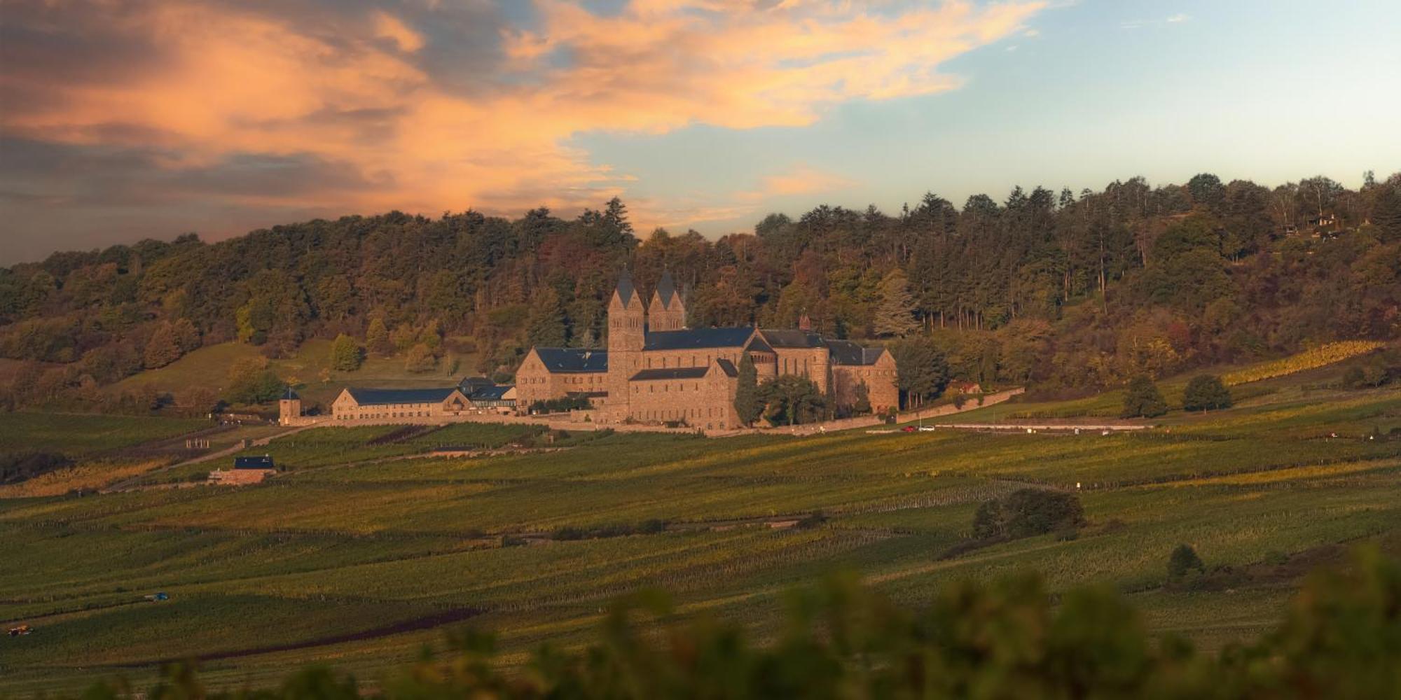 Weinhotel Des Riesling Zum Gruenen Kranz Rüdesheim am Rhein Esterno foto
